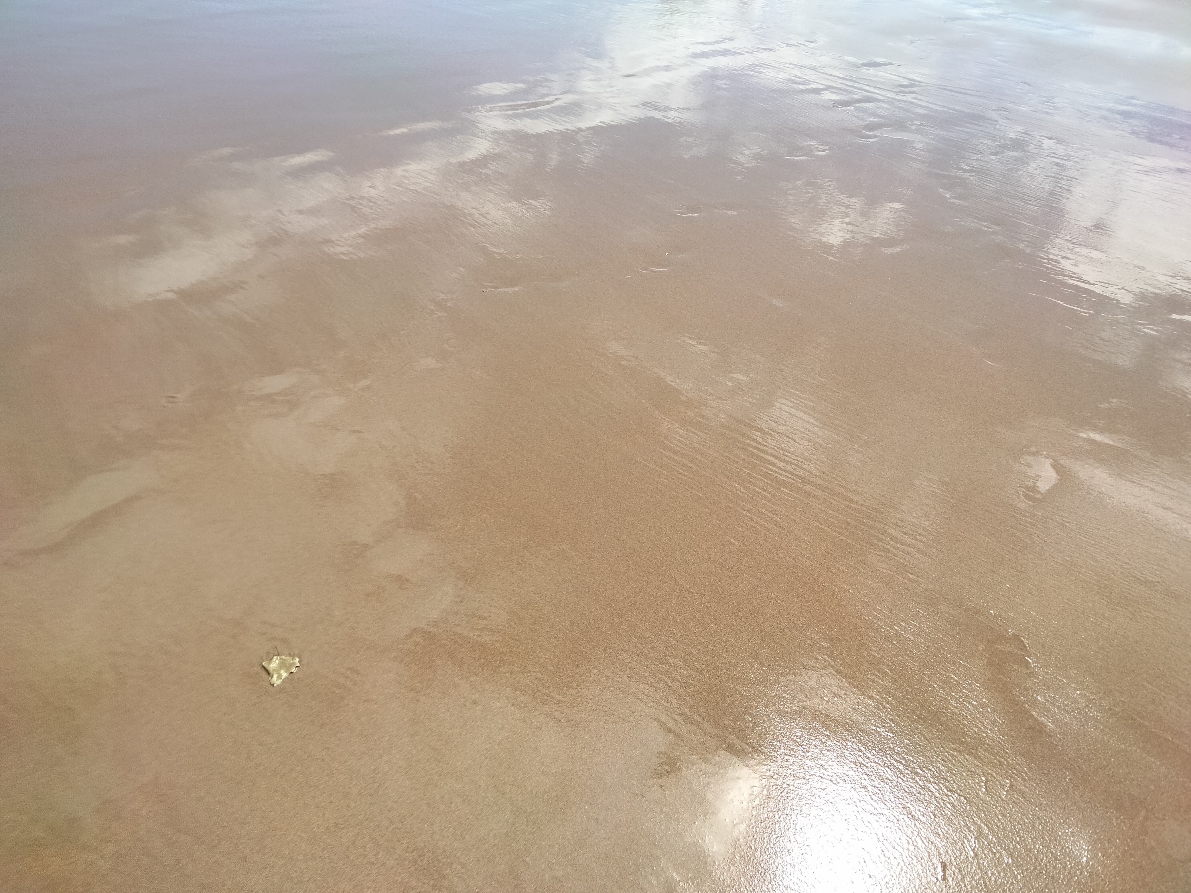 17143020548365778751466449241684.jpg