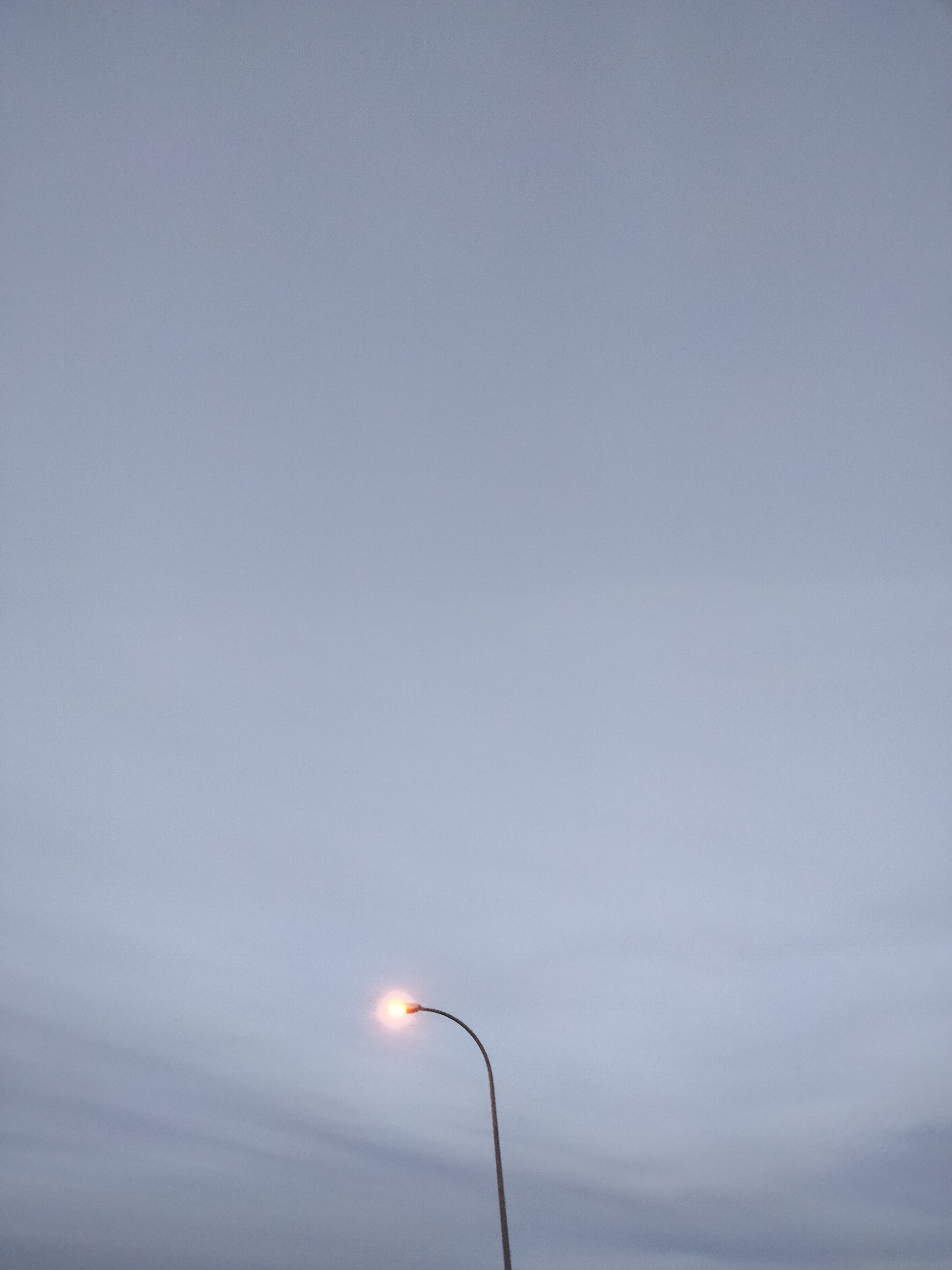 17275466890782180809460313073250.jpg