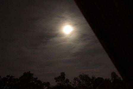 22518711911_e28df27794_b.jpg