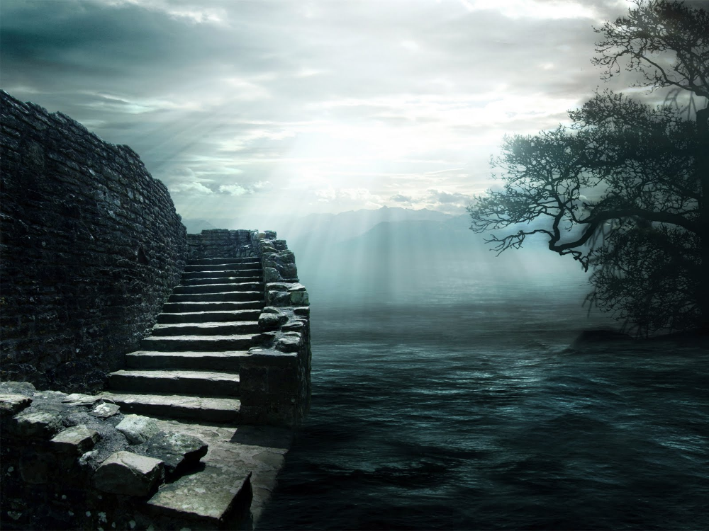 e223a483eec0654e7c8f6316aabe2d10.png