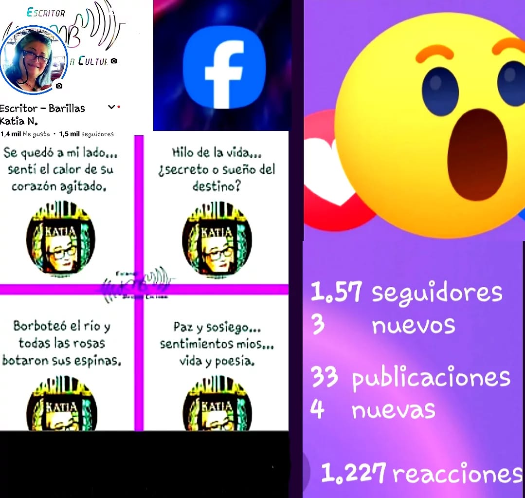 Estadísticas FB.jpeg