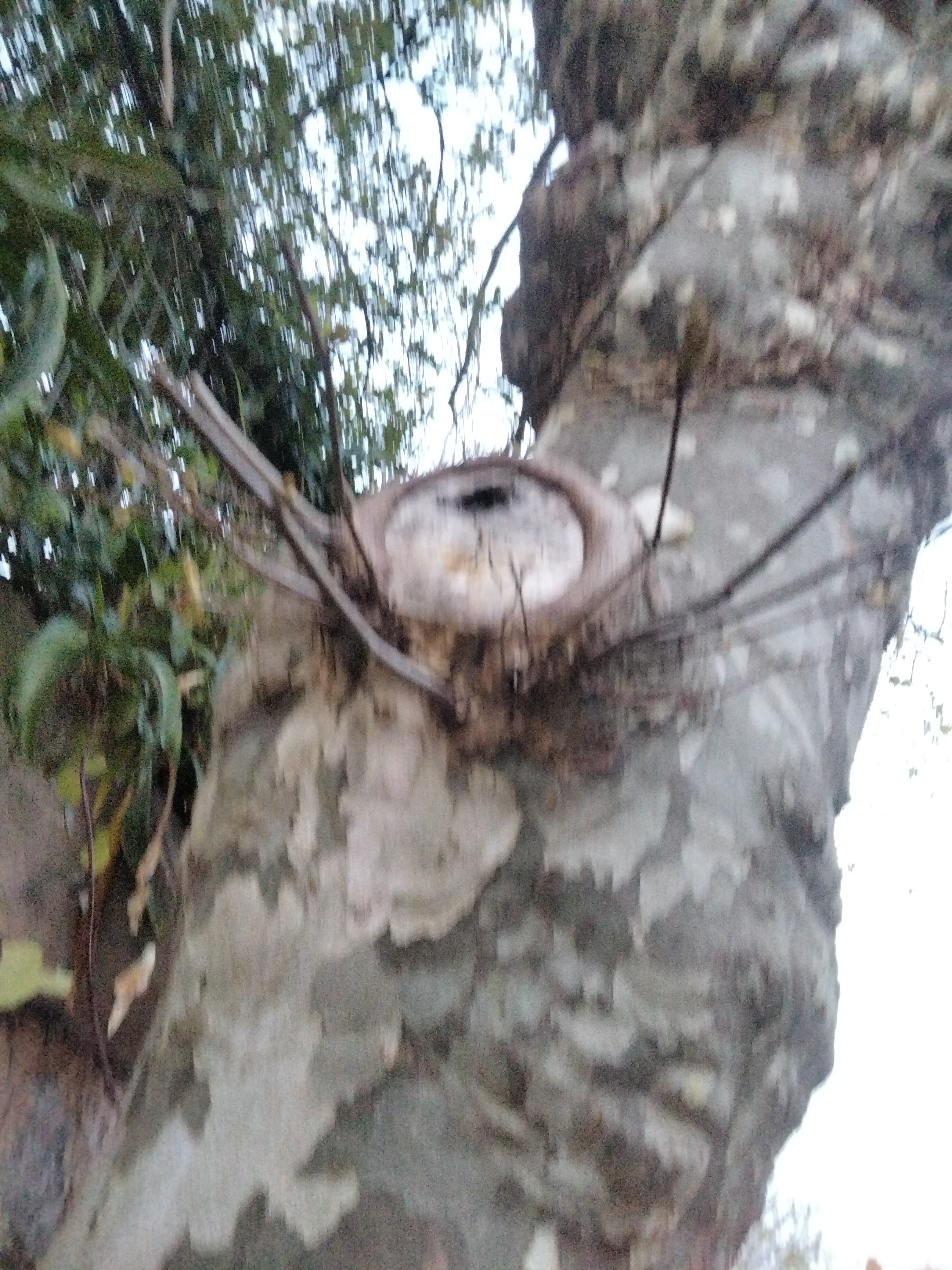 IMG20230405204740.jpg