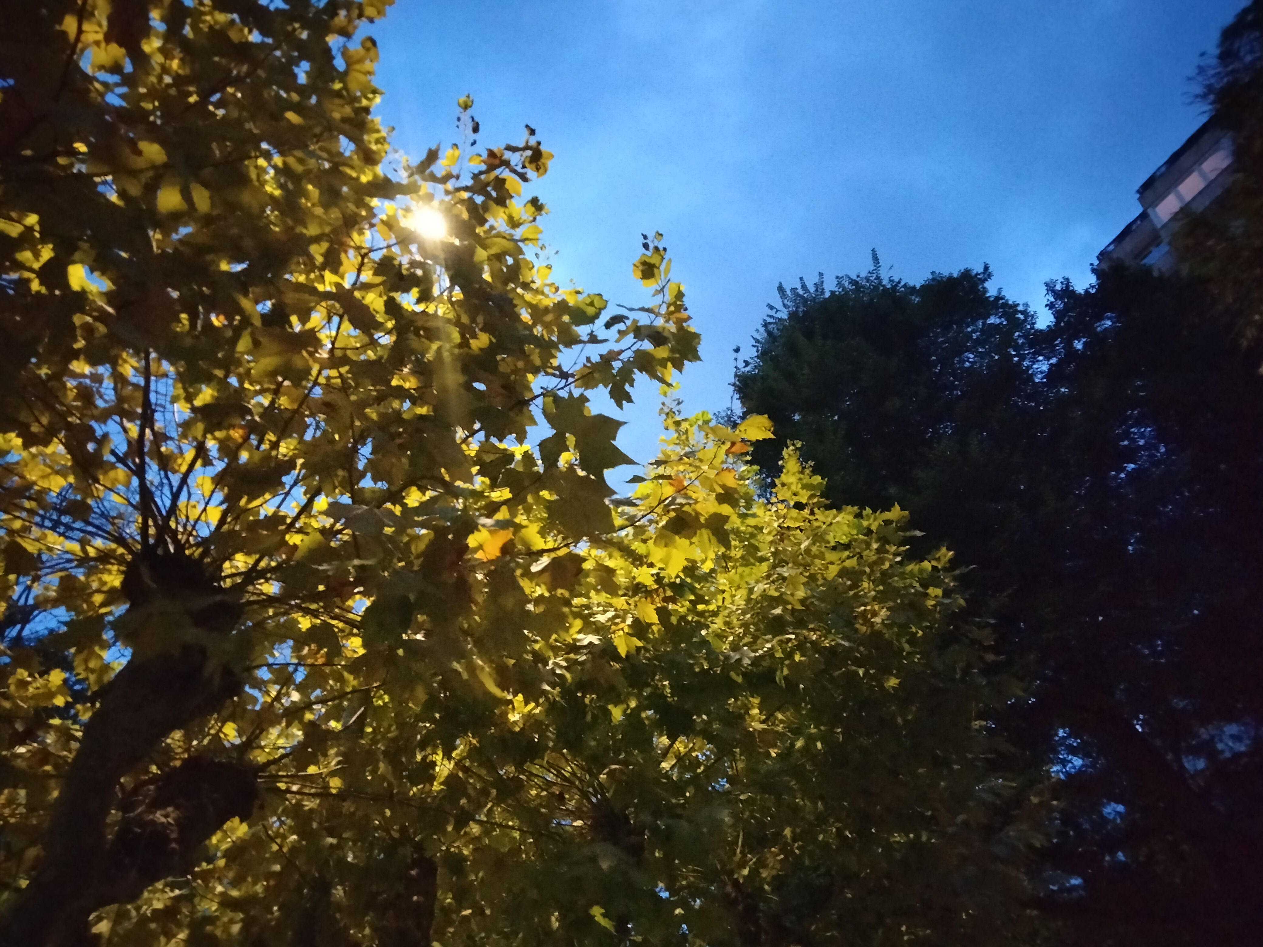 IMG20230921203606.jpg
