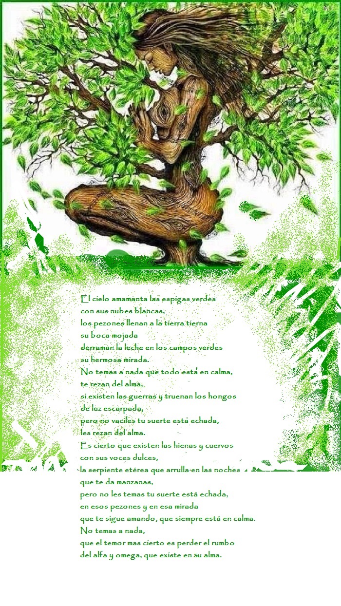 La mujer es un arbol.jpg