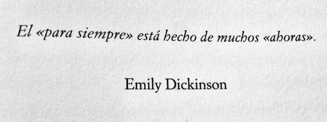 Momentos-Extensos.png