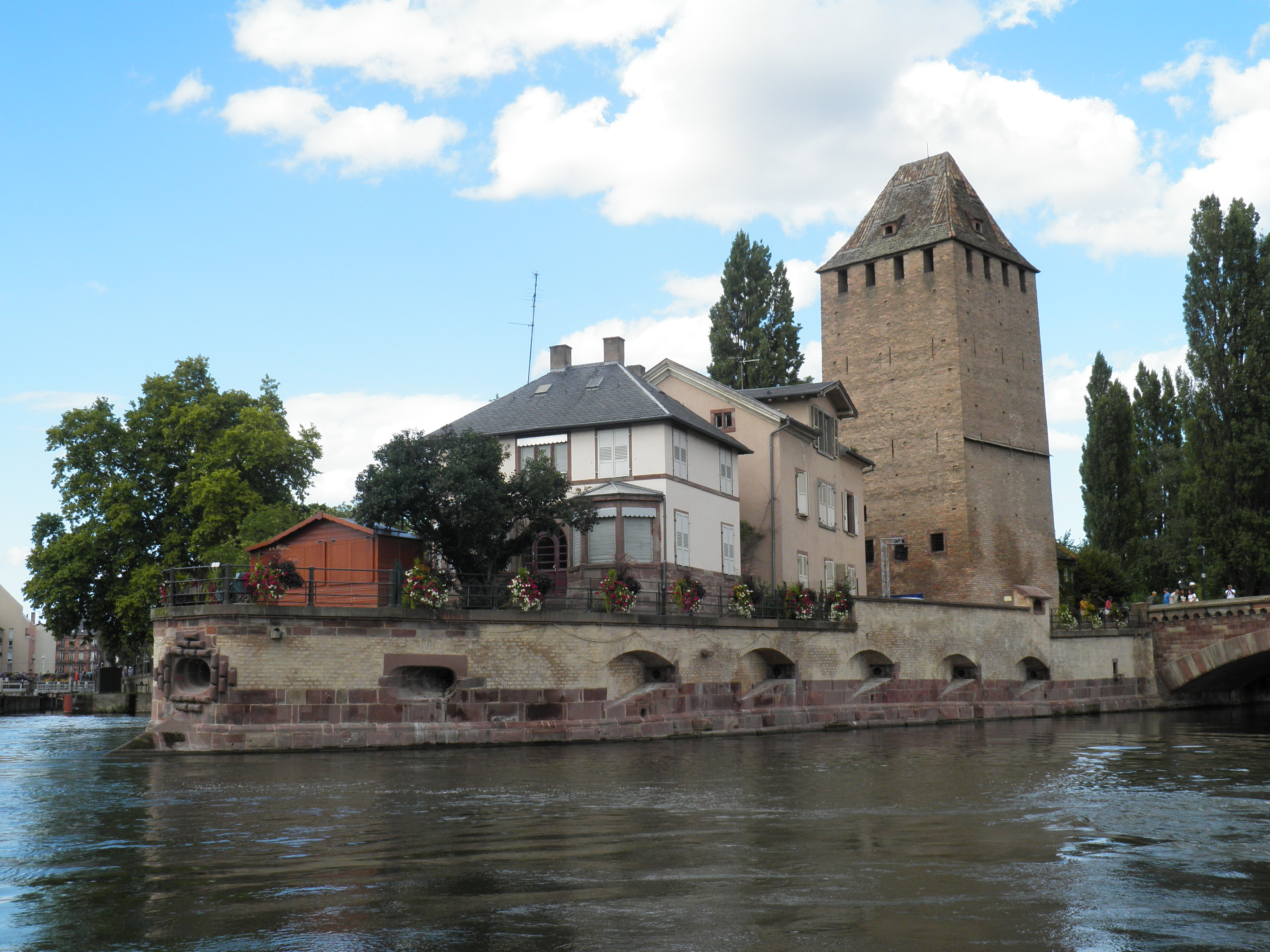 P1010167.jpg