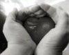 tn_gallery_7_3_8526.jpg