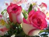 fondos-escritorio-rosa.jpg