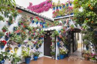 patios-de-cordoba-1520509_960_720.jpg