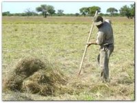 horquilla 2.JPG