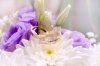 12029070-resumen-escena-con-los-anillos-de-boda-flores-ans-como-telon-de-fondo-la-celebracion.jpg