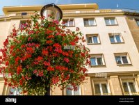 geranios-rojos-colgando-cerca-de-la-lampara-de-la-calle-2a14m87.jpg