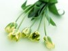 Flores Verdes_800.jpg