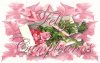 de_cumple_rosas_rosadas.jpg