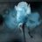 Paty_1412