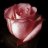 tear of heart