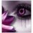 quod_libet