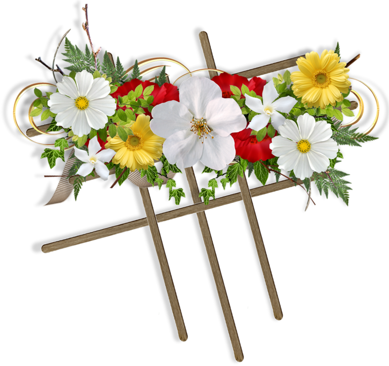 blanca13.png
