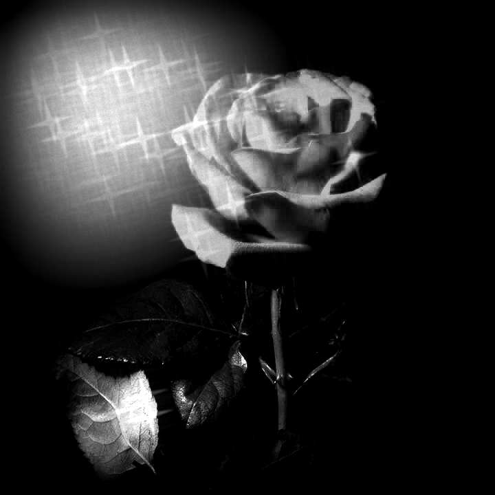 bw rosa goth mix 1.png