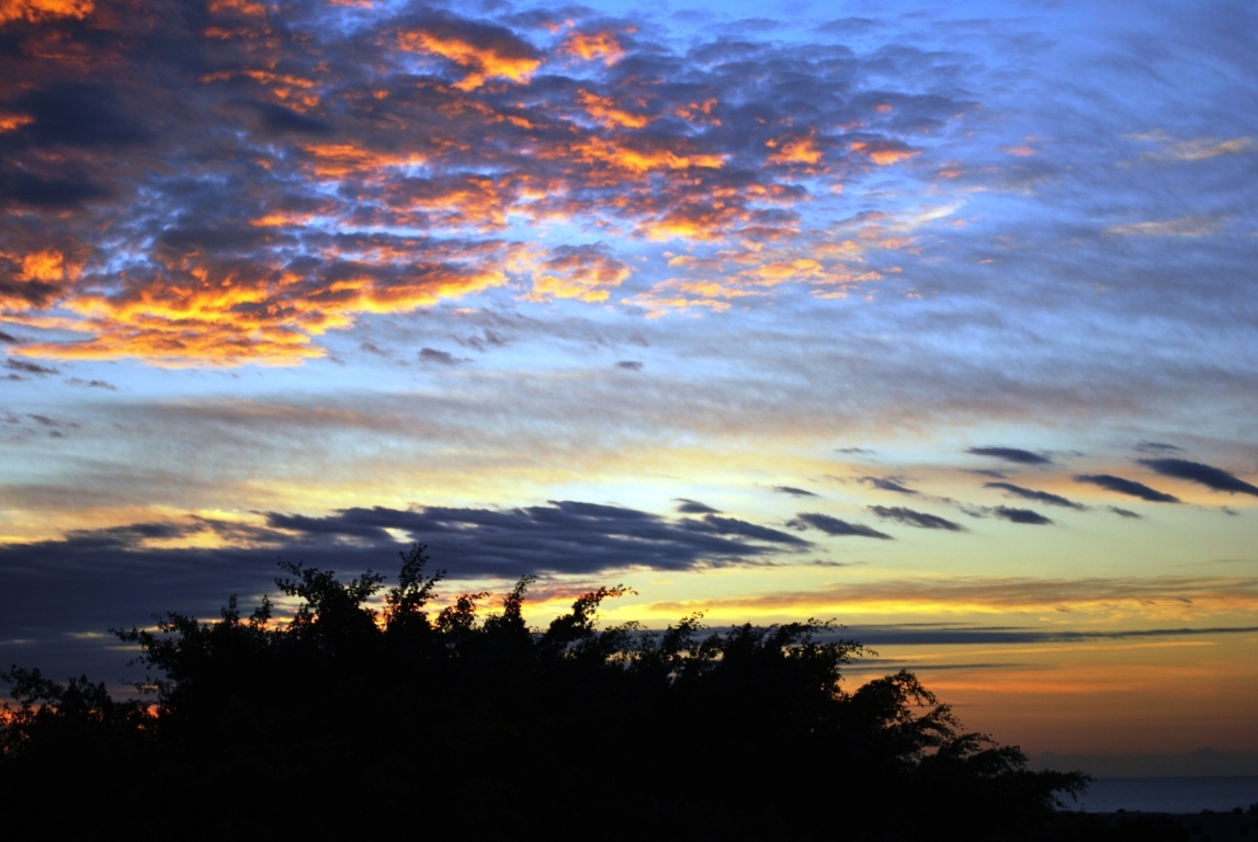 DSC_3869 (FILEminimizer).JPG