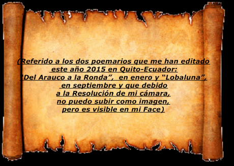 EXPLICACIÓN.png