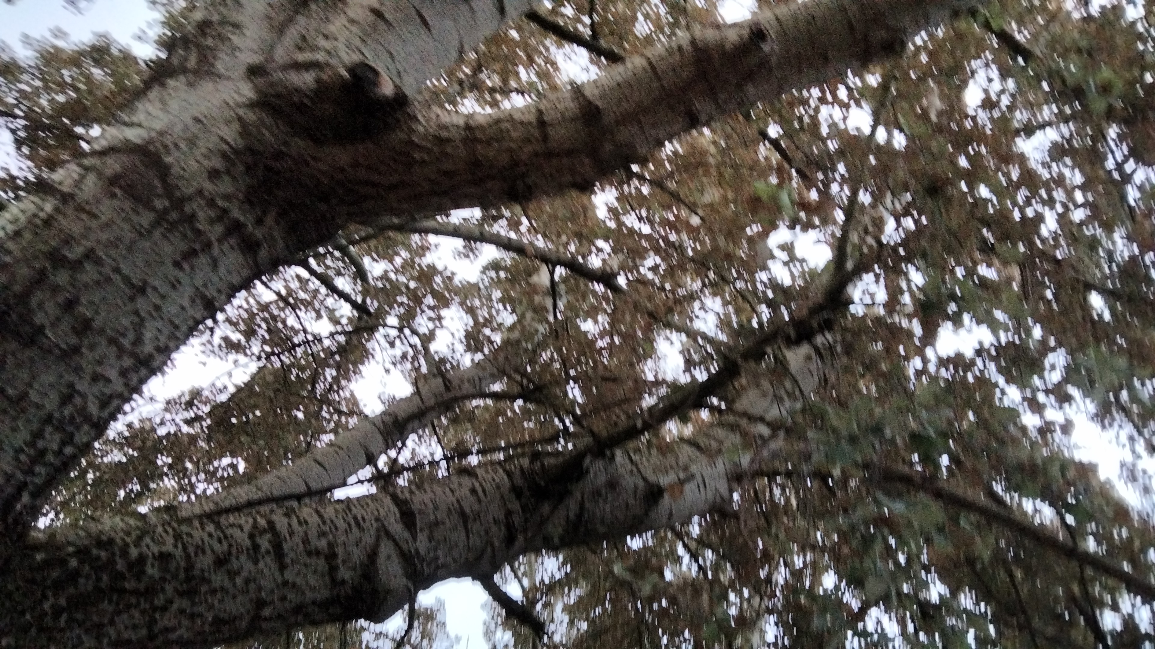 IMG-20220902-WA0003.jpeg