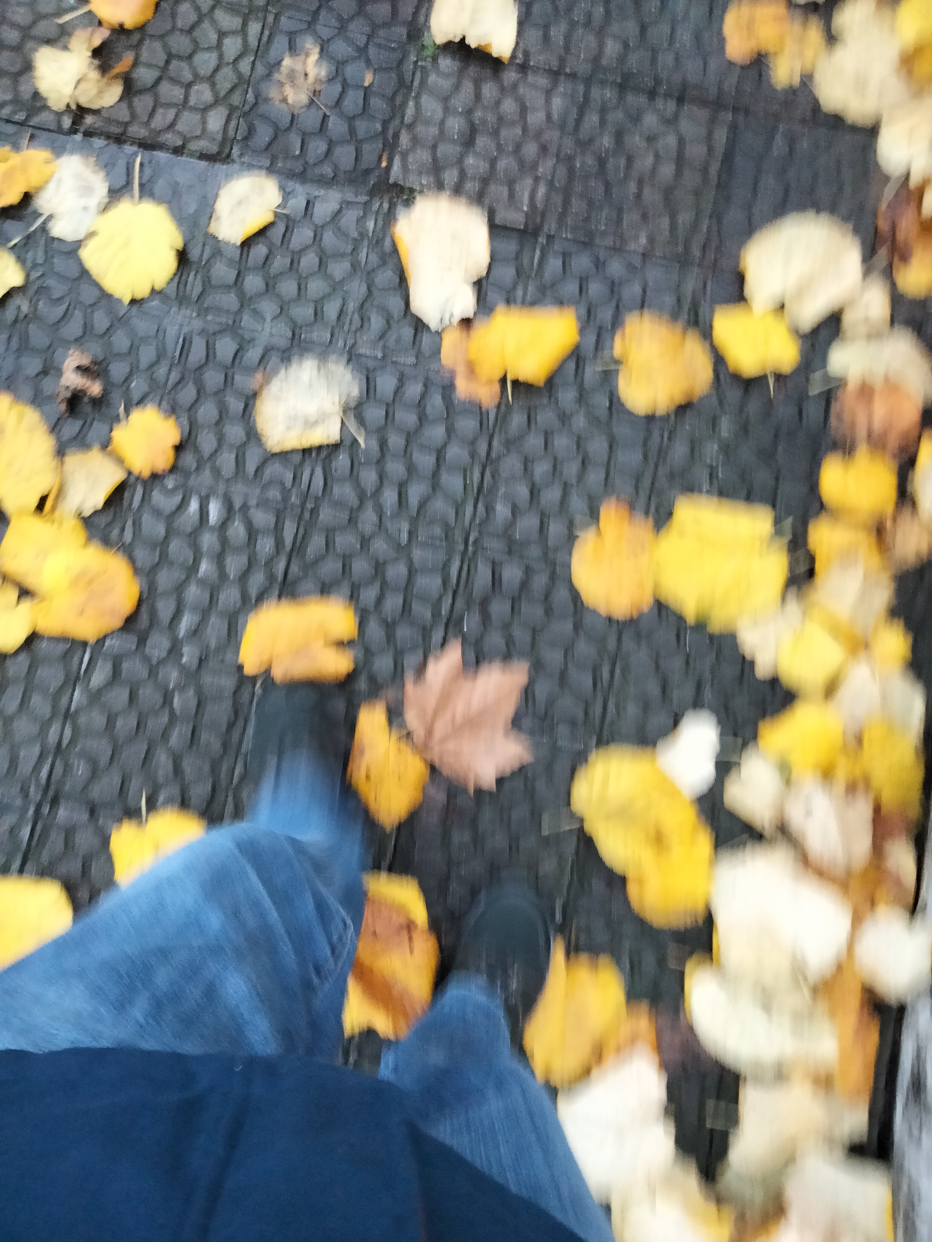 IMG20221216094822.jpg