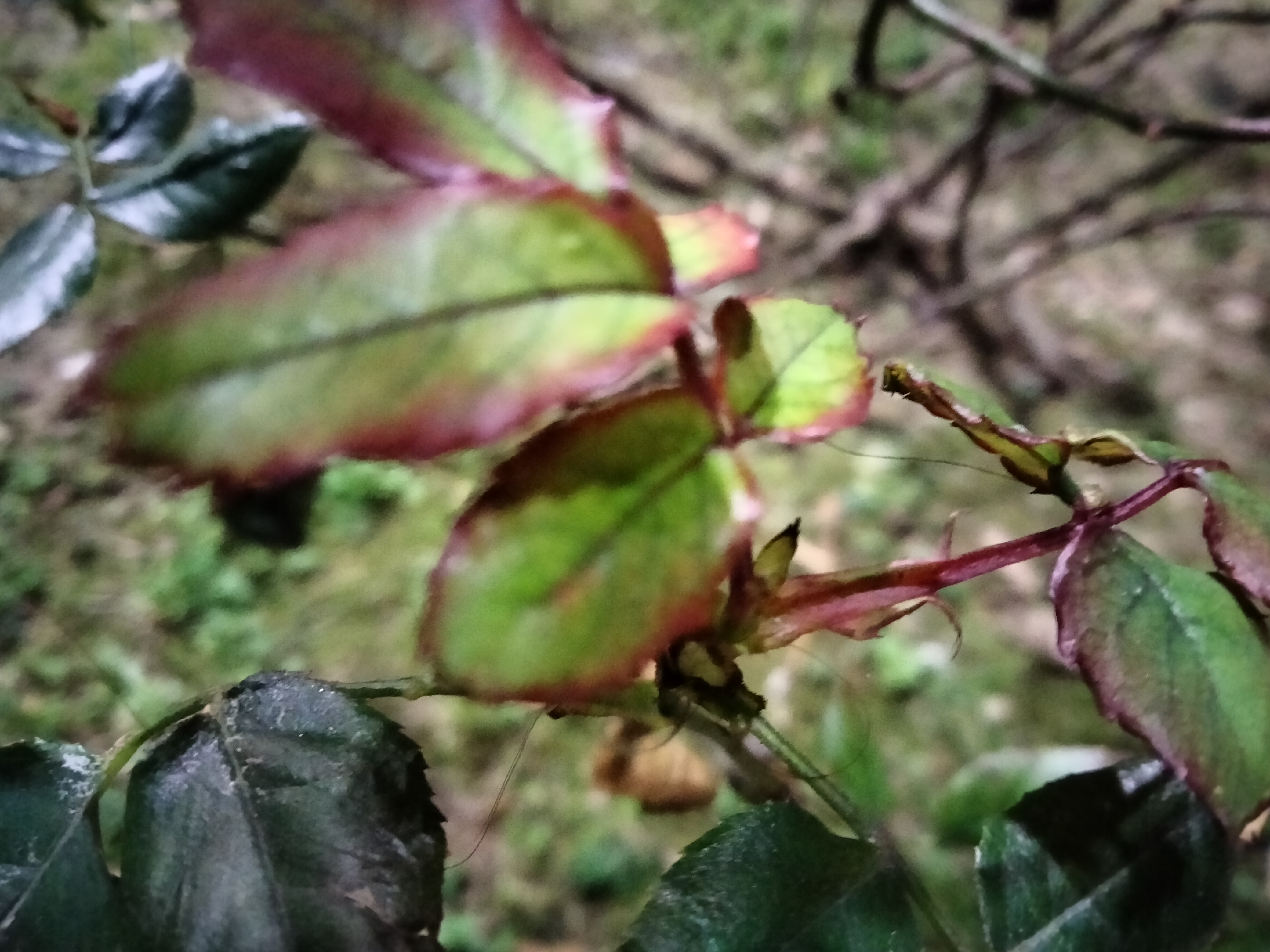 IMG20230216203646.jpg