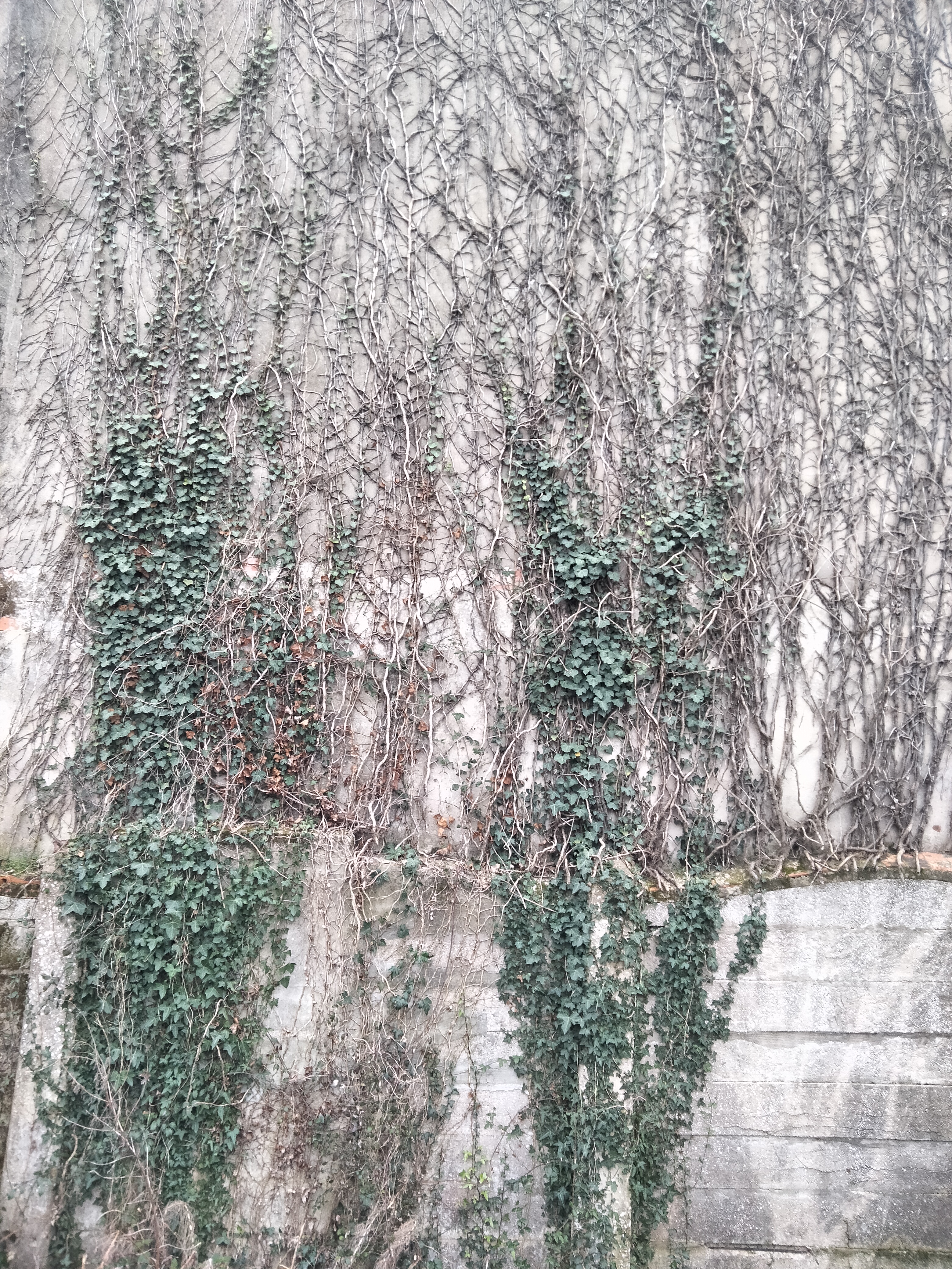 IMG20230311111552.jpg