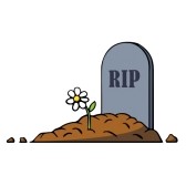 lápida con flor.jpg