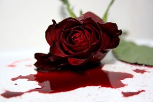 Sangre_de_rosa_by_LayraBlack.jpg