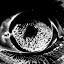 upload_2022-9-19_11-29-16.jpeg