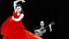 flamenco.jpg