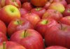 apples-for-store-300x210.jpg