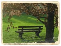 Dueto Malco y Anamer.jpg