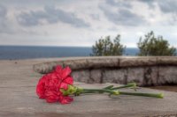 IMG_3468.jpeg