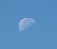 IMG_5057b (FILEminimizer).jpg