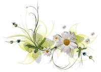 blanca10.png