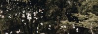 0602184D-A85A-4CB3-B4D3-A4875A4B2E7F.jpeg
