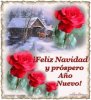 feliz-navidad-rosas-rojas-pensamien.jpg