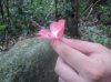 DSC09423.jpg
