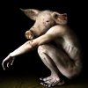 640x640_9946_Pig_man_004_2d_fantasy_pig_man_picture_image_digital_art.jpg