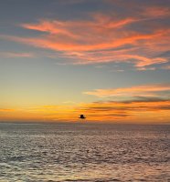 cuando el ocaso nos seducew.jpg