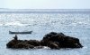 img_39244.4166666667_231.jpg
