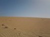 1505464_666265433412252_497739770_n.jpg