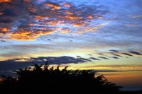 DSC_3869 (FILEminimizer).JPG