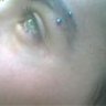 Nottestellata