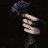oscuras_intenciones